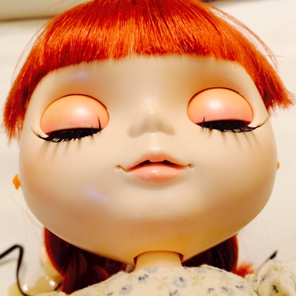 f:id:mofnokikotori:20170210213602j:plain f:id:mofnokikotori:20170210213602j:plain