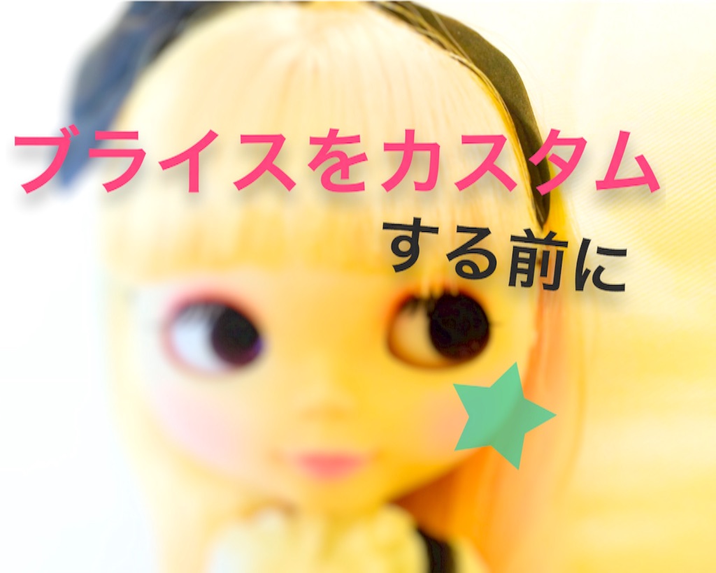 f:id:mofnokikotori:20170211061657j:image f:id:mofnokikotori:20170211061657j:image