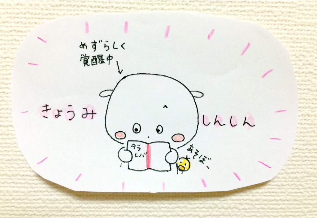 f:id:mofnokikotori:20170219081426j:image f:id:mofnokikotori:20170219081426j:image