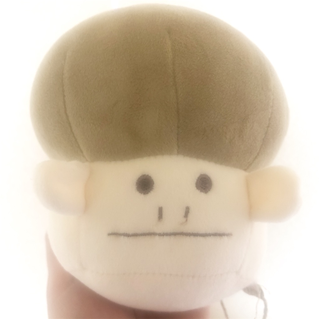 f:id:mofu_chibo:20200211111221j:image f:id:mofu_chibo:20200211111221j:image