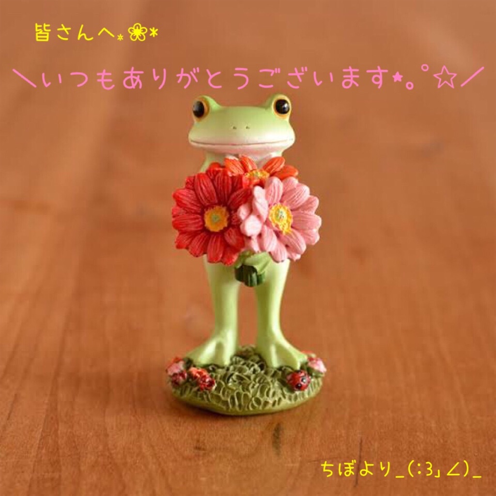 f:id:mofu_chibo:20200224234420j:image