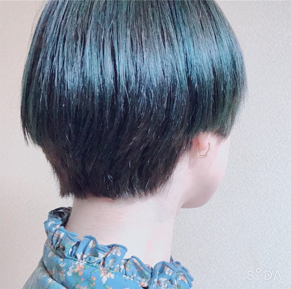 f:id:mofu_chibo:20200327190422j:image