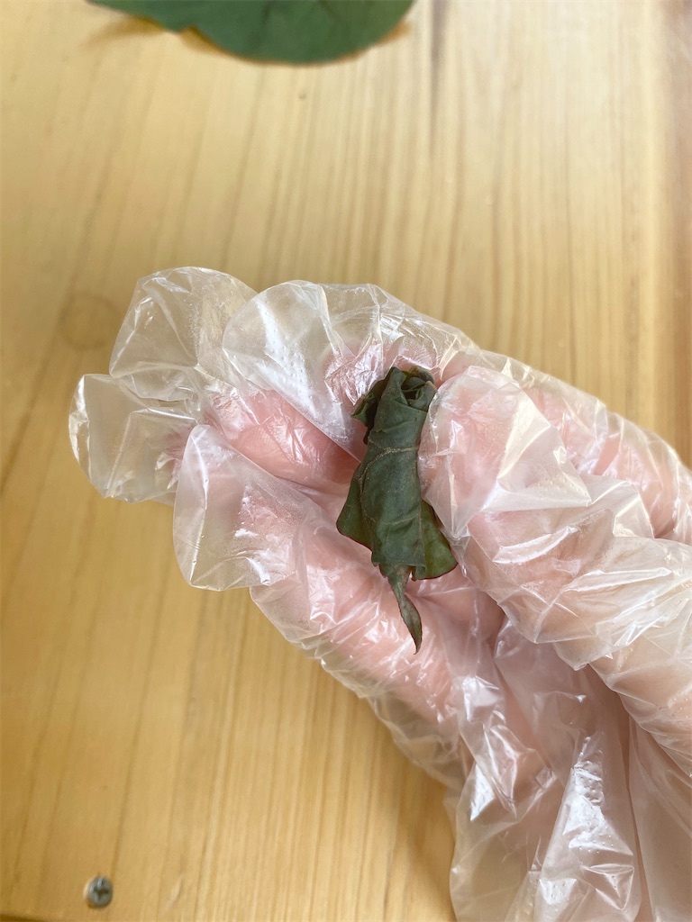 全部試してみた 慢性副鼻腔炎民間療法５選 効果いろいろ Depart