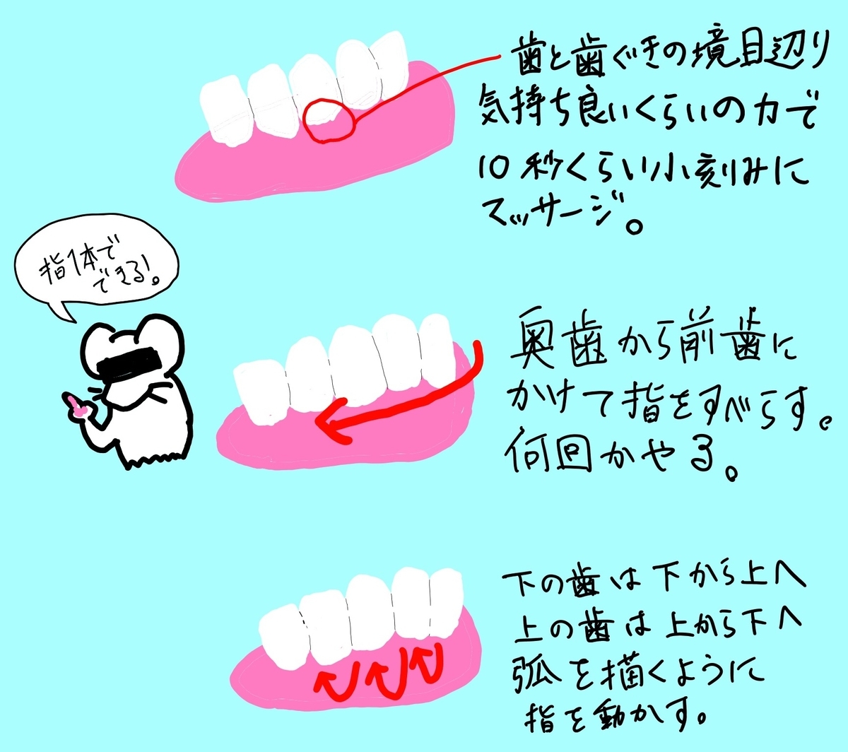 f:id:mofumushi:20210227114126j:plain