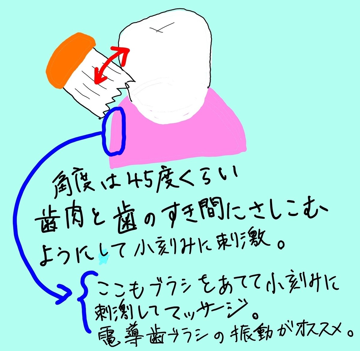 f:id:mofumushi:20210227115938j:plain