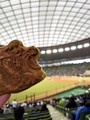 埼玉西武ライオンズ