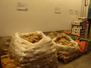 20080810_194621.jpg