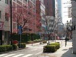20090214_134948.jpg