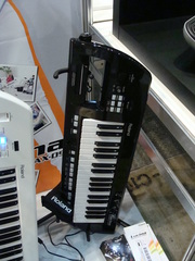 DSC08260.JPG