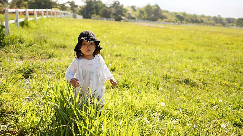 f:id:mogami74:20160529073934j:plain