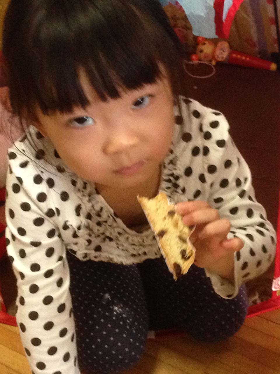 f:id:mogami74:20161218105051j:plain