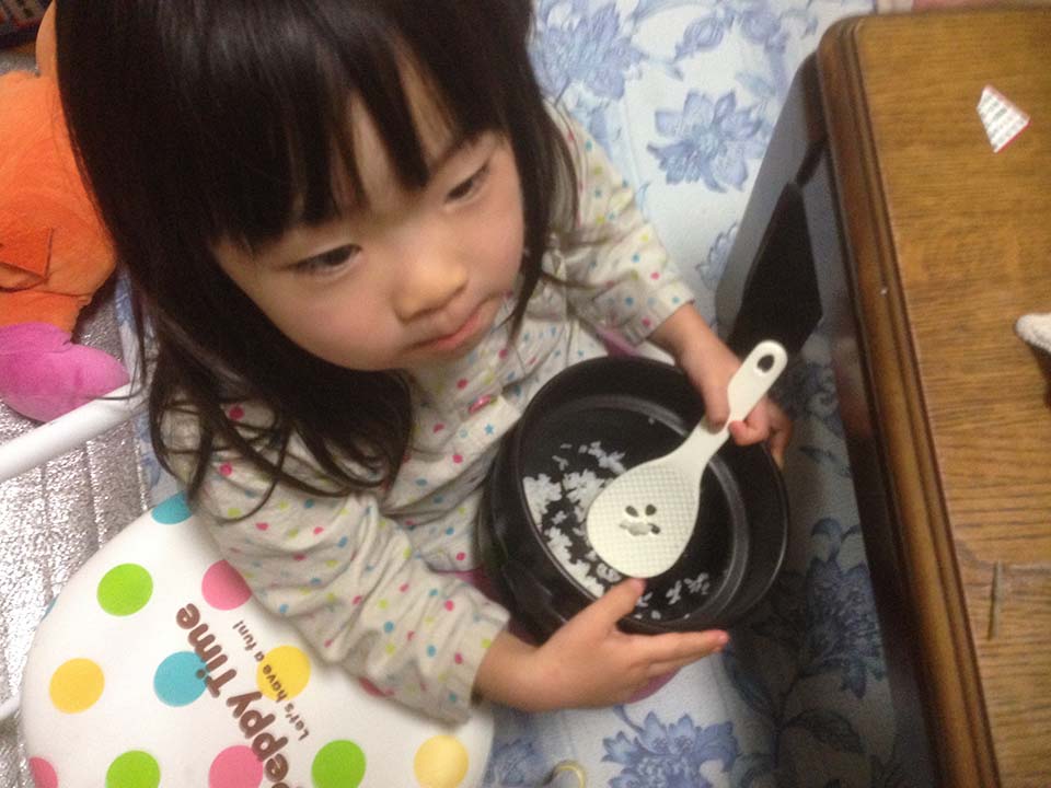 f:id:mogami74:20170115192417j:plain