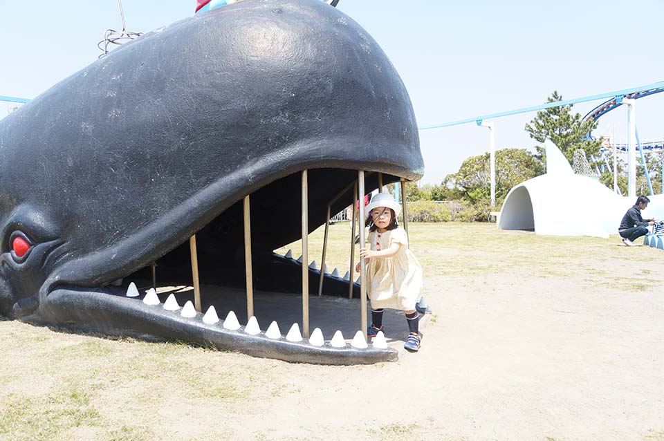 f:id:mogami74:20170430115329j:plain