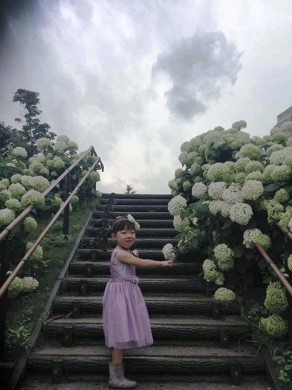 f:id:mogami74:20170701103741j:plain