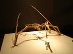 20080805_114850.jpg