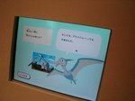 20080805_120457.jpg