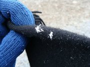 20080526_103423.jpg