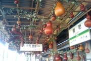 20091015-142929.jpg