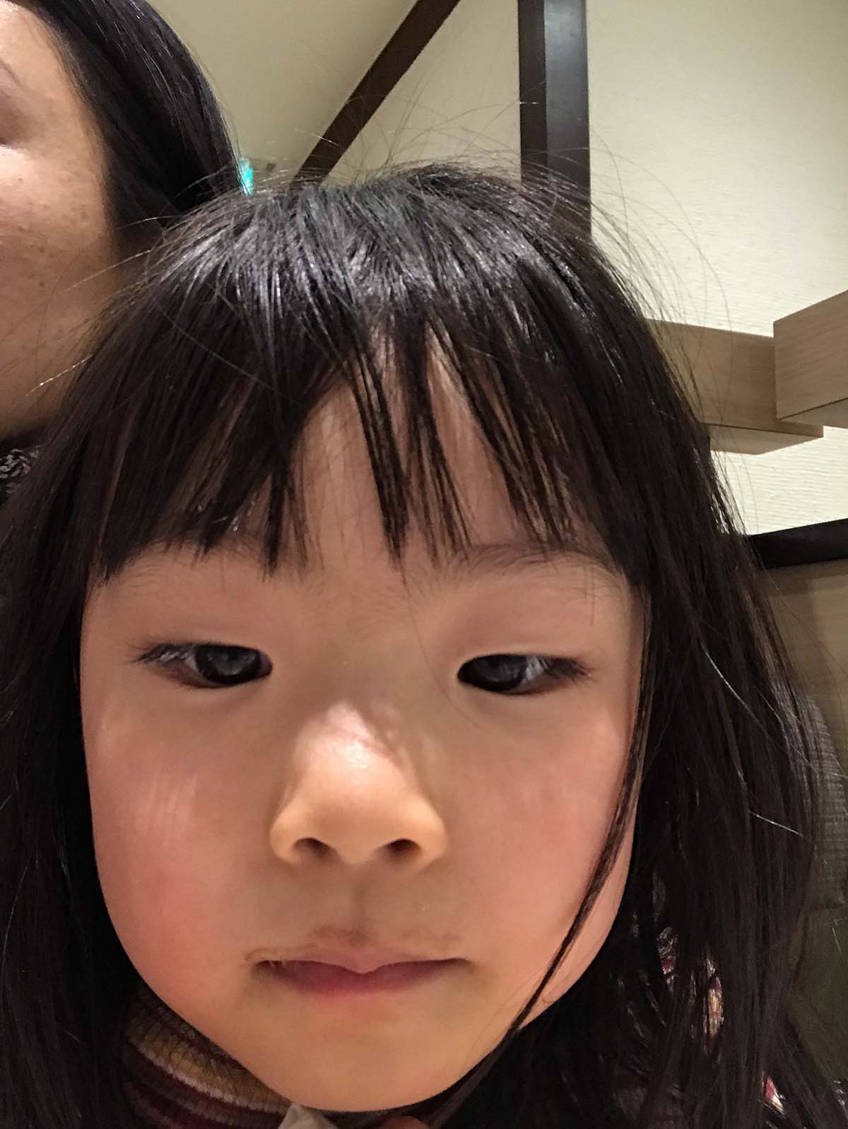 f:id:mogami74:20180211182617j:plain
