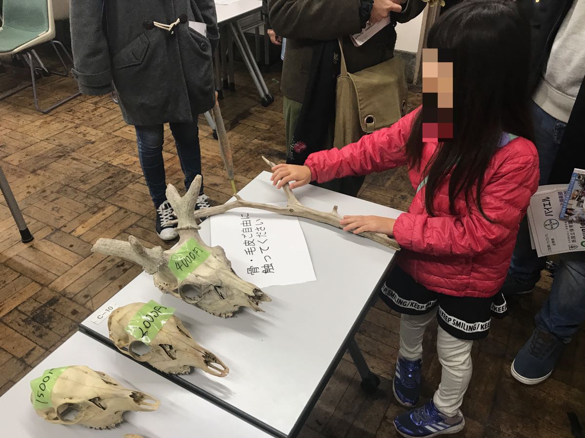 f:id:mogami74:20191123111223j:plain f:id:mogami74:20191123111223j:plain