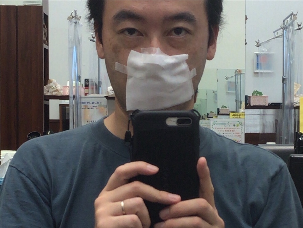 f:id:mogami74:20200919090638j:plain