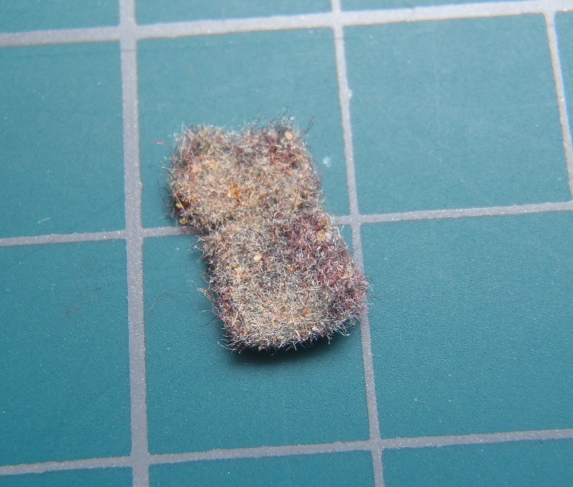 f:id:mogmogfirst:20170526224209j:plain