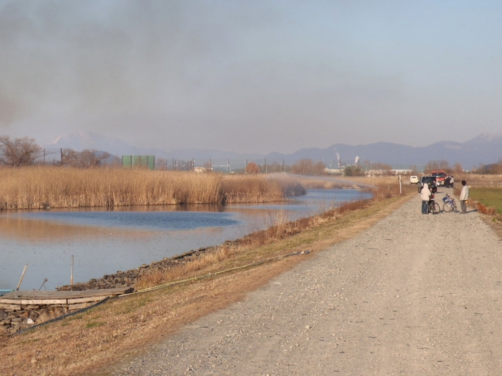 f:id:mogmogfirst:20171001212527j:plain