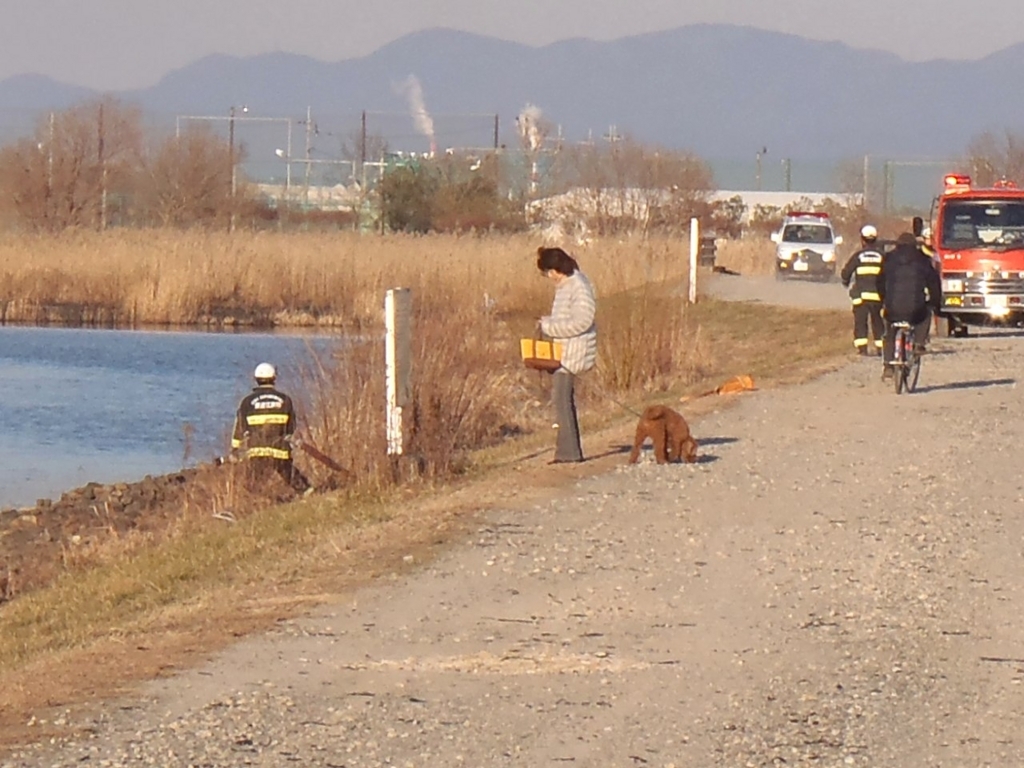 f:id:mogmogfirst:20171001213403j:plain