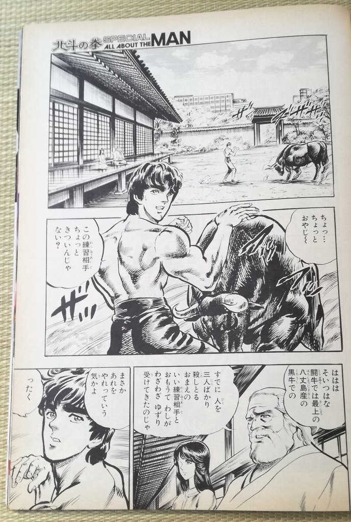 1986年発行 北斗の拳SPECIAL ALL ABOUT THE MAN 週刊少年