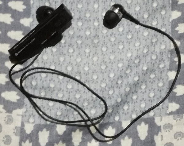 f:id:mogmogfirst:20181128221550j:plain f:id:mogmogfirst:20181128221550j:plain