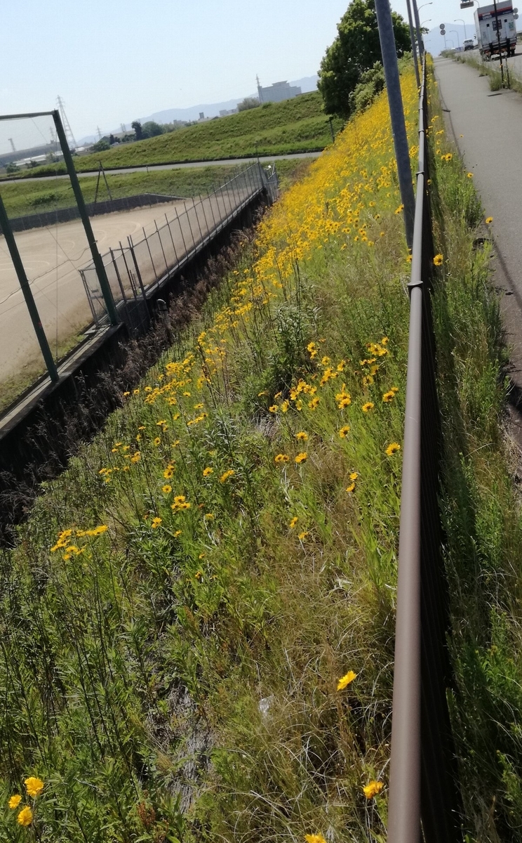 f:id:mogmogfirst:20190526205212j:plain f:id:mogmogfirst:20190526205212j:plain