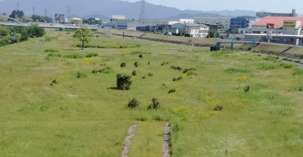 f:id:mogmogfirst:20190526205924j:plain f:id:mogmogfirst:20190526205924j:plain