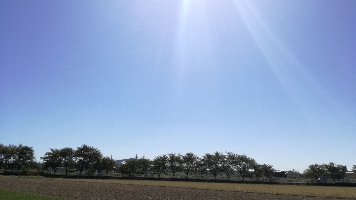 f:id:mogmogfirst:20191013205316j:plain