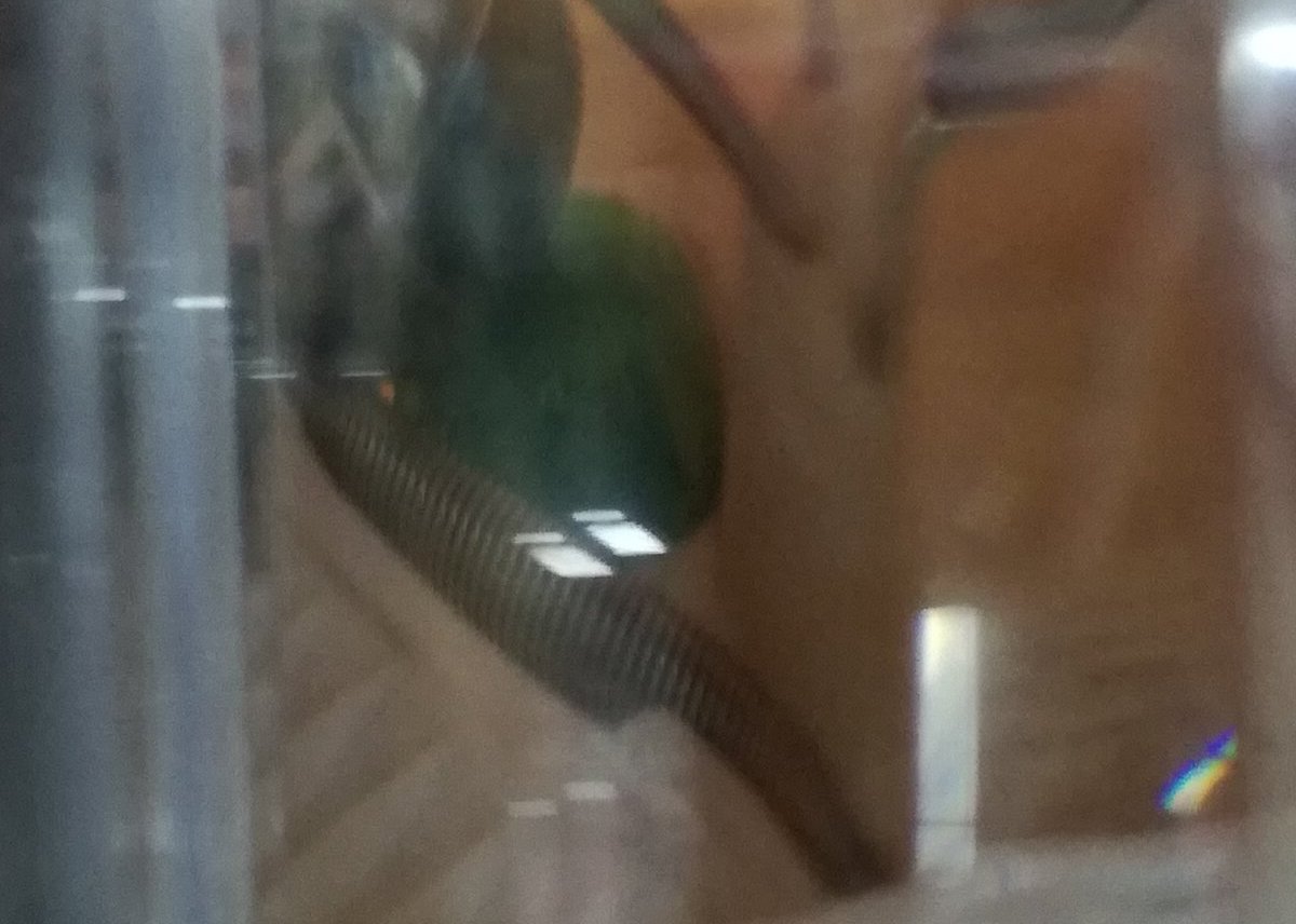 f:id:mogmogfirst:20200509203232j:plain