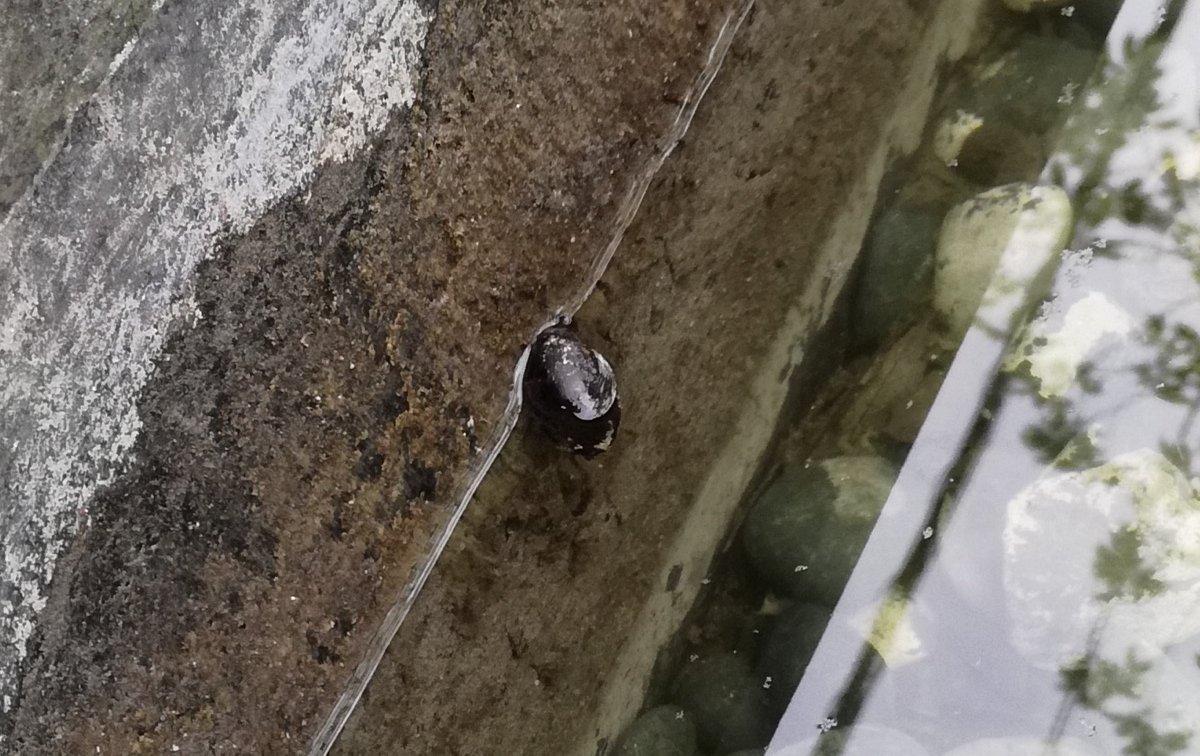 f:id:mogmogfirst:20200701230920j:plain f:id:mogmogfirst:20200701230920j:plain