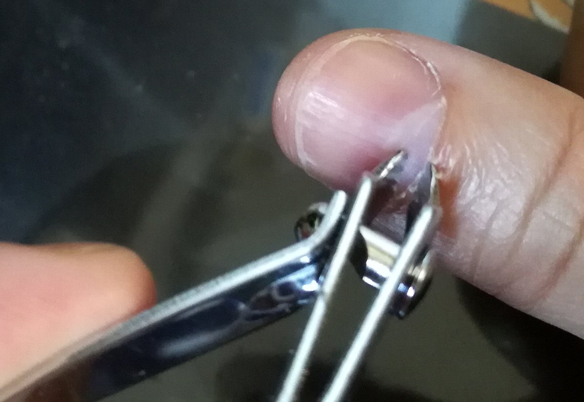 f:id:mogmogfirst:20200930154110j:plain