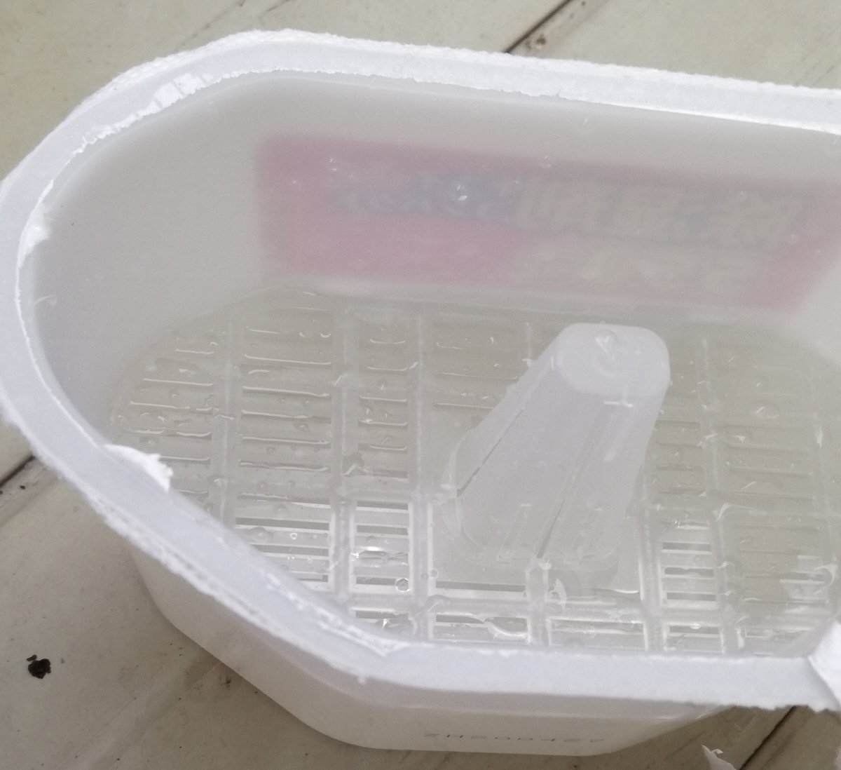 f:id:mogmogfirst:20201004214154j:plain