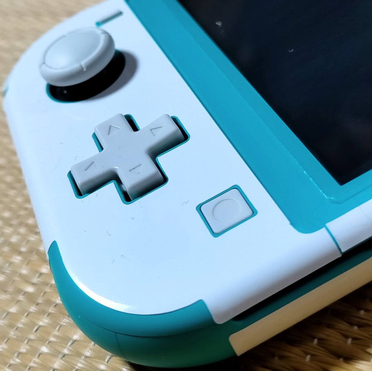 f:id:mogmogfirst:20210220221948j:plain