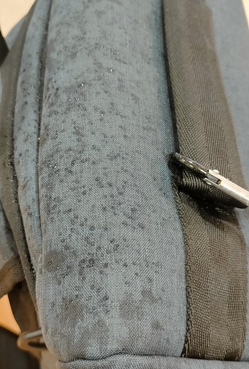 f:id:mogmogfirst:20210509185738j:plain