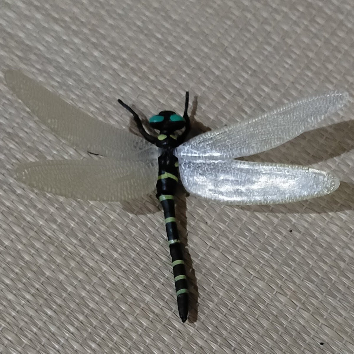オニヤンマの玩具には虫除けの効果があるのか実験開始 などなどブログログ