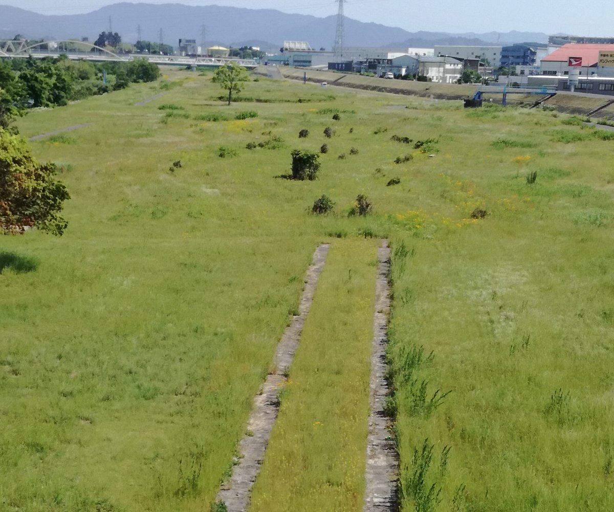 f:id:mogmogfirst:20210607213759j:plain