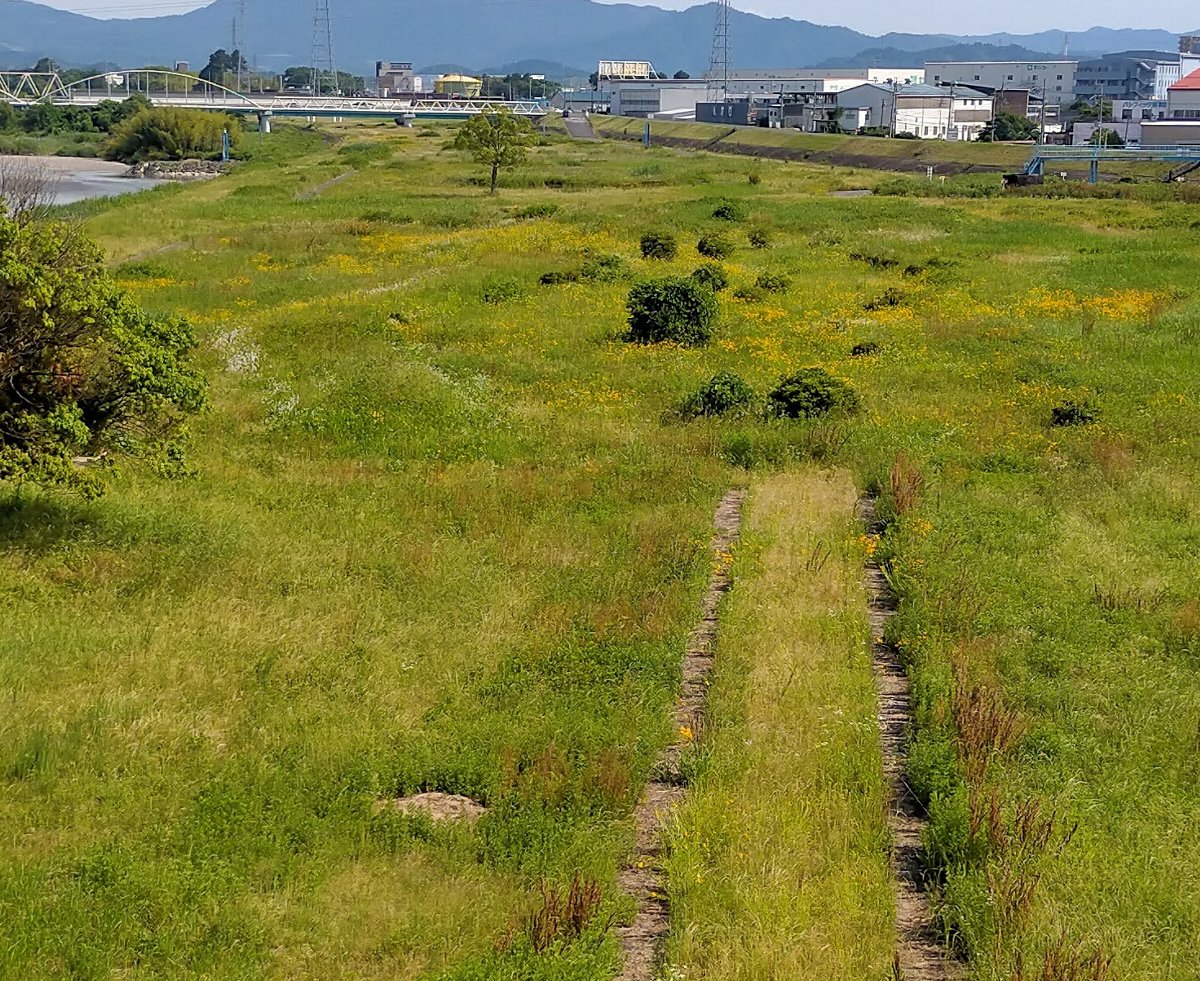 f:id:mogmogfirst:20210607213830j:plain