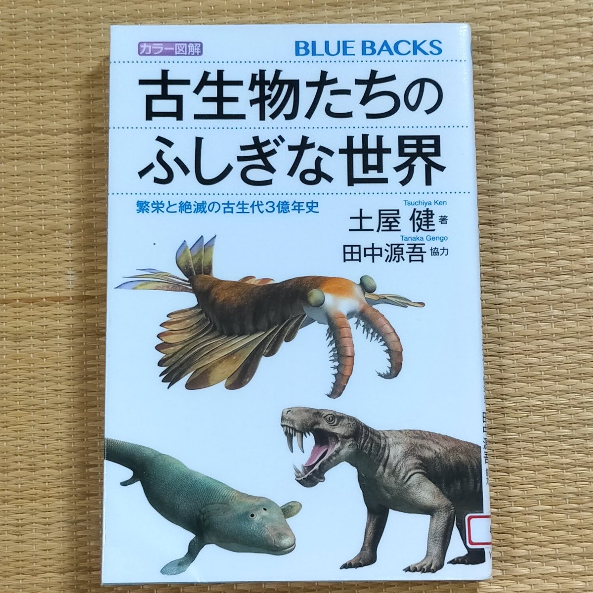 古生物たちのふしぎな世界」感想 古生代に焦点を絞った楽しい