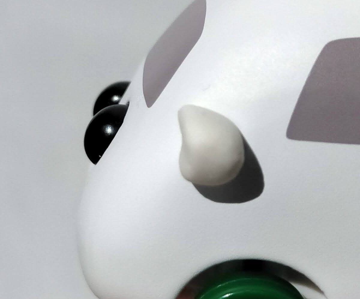 f:id:mogmogfirst:20211121213840j:plain