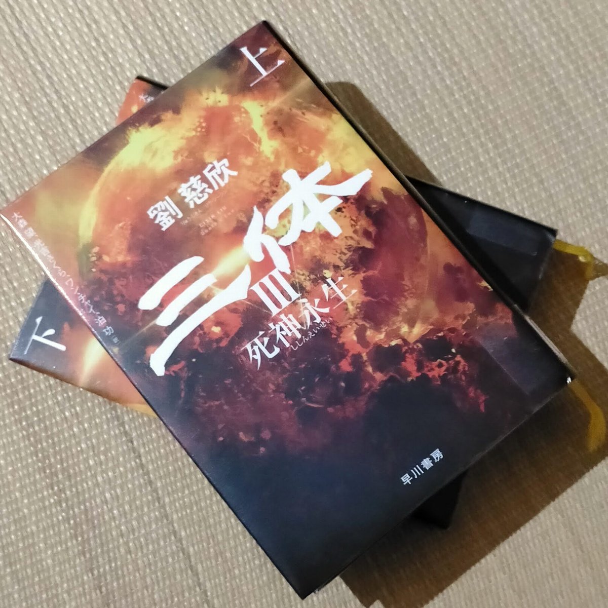三体Ⅲ 死神永生」感想 虫けらの独善と愛 - などなどブログログ