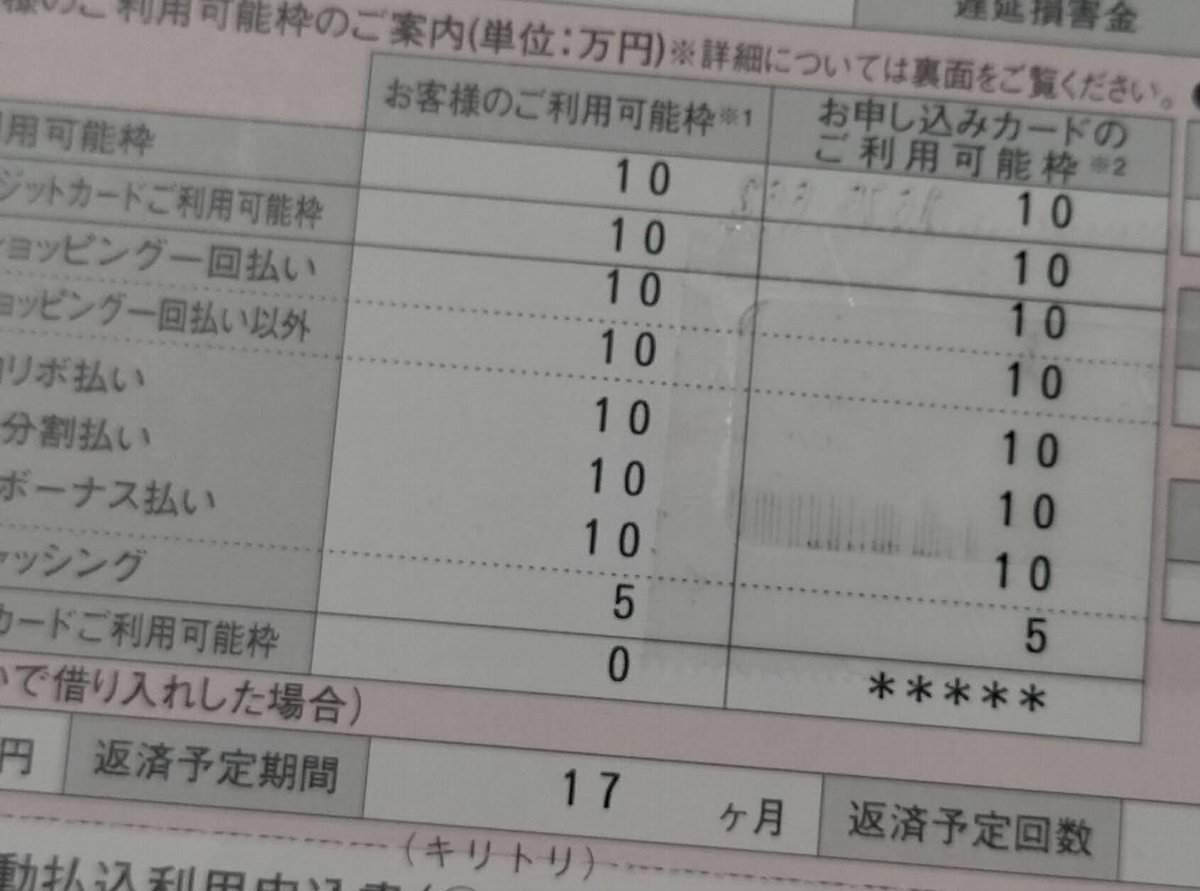 楽天カードの利用可能枠が勝手に上がり続けついに100万になった - などなどブログログ