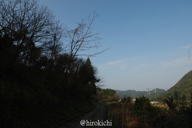 f:id:mogosi:20200415054024j:plain f:id:mogosi:20200415054024j:plain