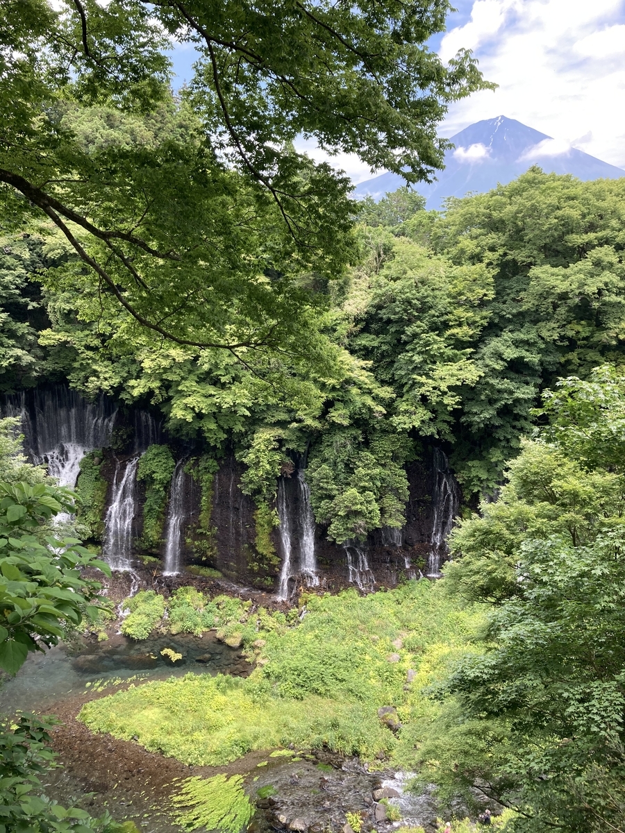 f:id:mogotake:20210627212304j:plain