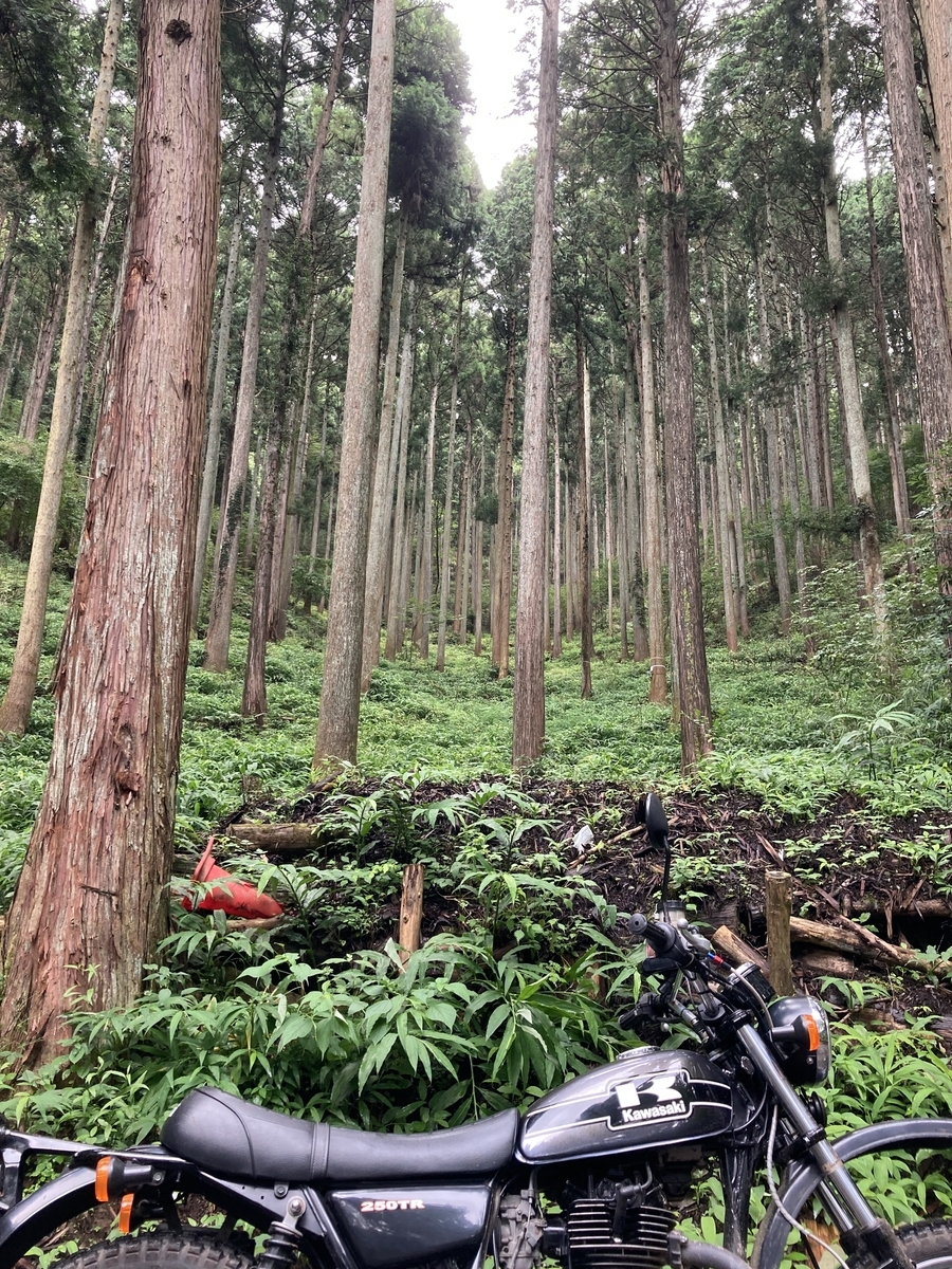 f:id:mogotake:20210813151506j:plain