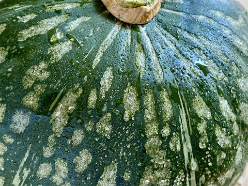 f:id:mogumogukana:20201105021831j:plain
